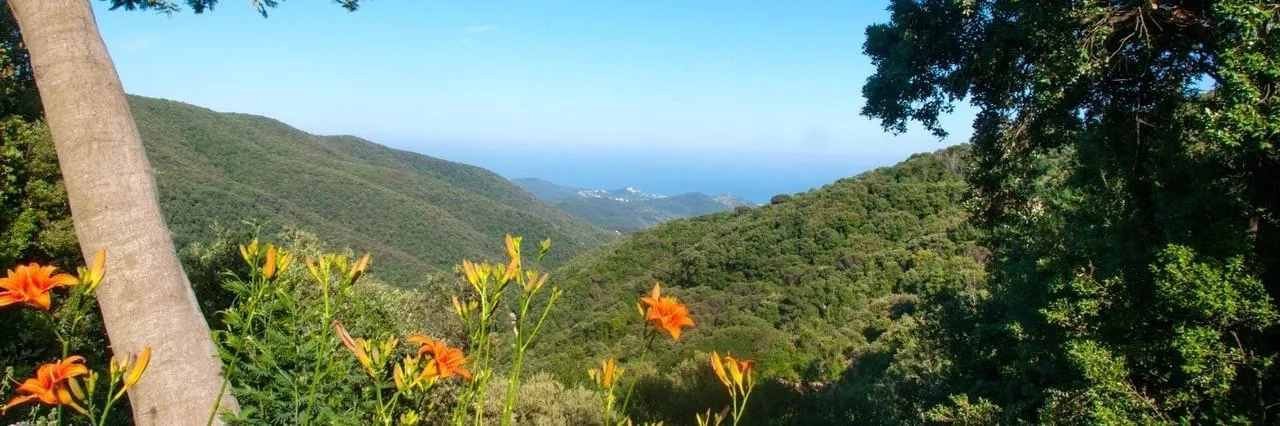 The hills above Calella, with the sea beyond